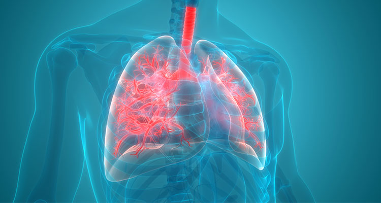 Dual versus Triple Inhaler Therapy for COPD: Updates and Current ...