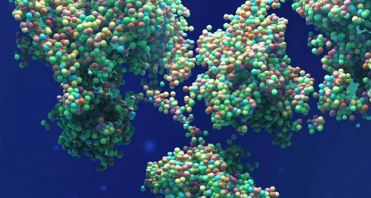 Module 2: Justifying extrapolation, demonstrating biosimilarity and addressing immunogenicity