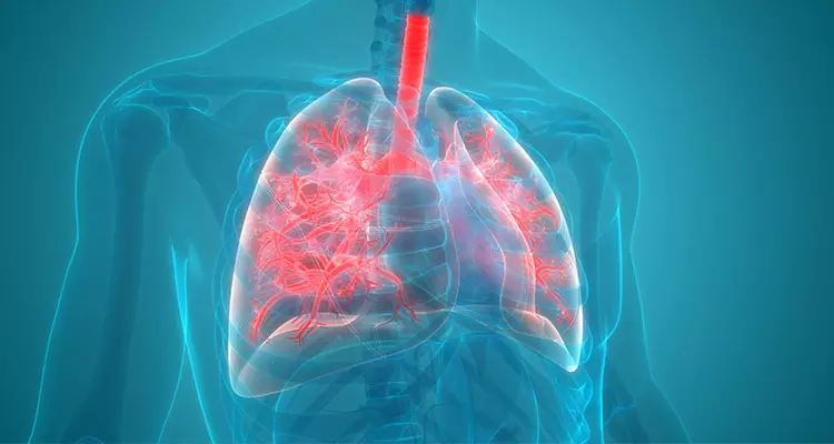 Dual versus triple inhaler therapy for COPD: Updates and current recommendations 