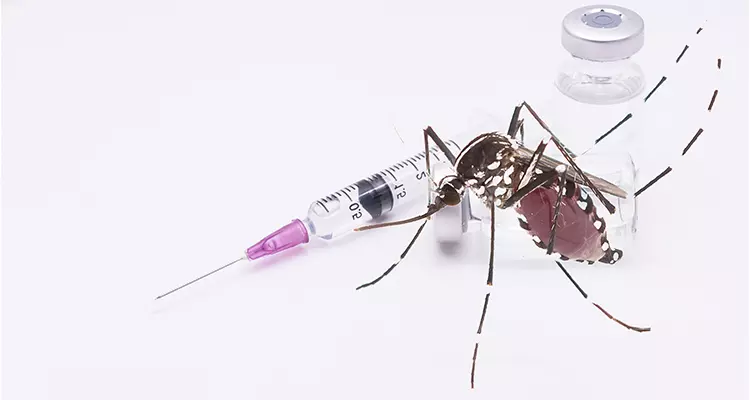 Prevention against dengue: An innovative solution