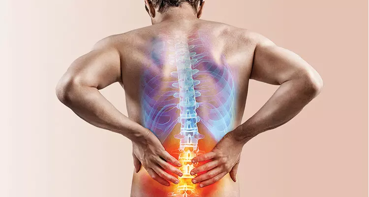 Managing low back pain in primary care: A concise review