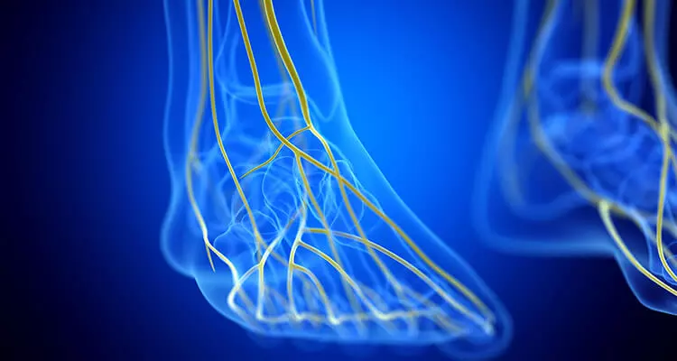 Managing PN and the role of neurotropic B vitamins in nerve care